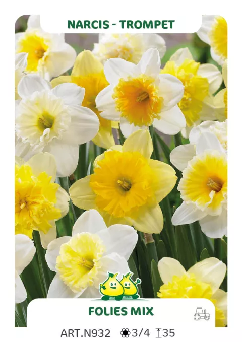 Narcis trompet 'Folies Mix'