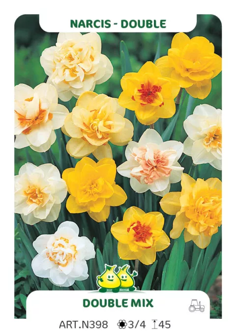 Narcis dubbel/doubles 'Mix'